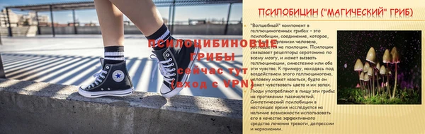 соль ск Бородино