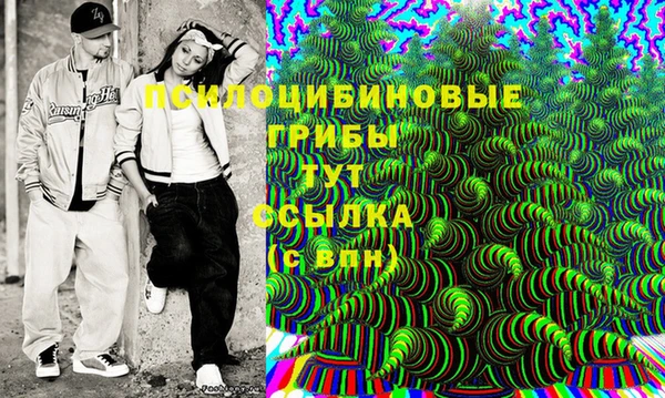 соль ск Бородино