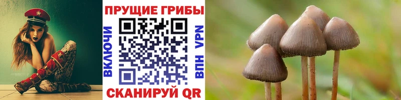 Псилоцибиновые грибы Cubensis  купить закладку  Верхний Уфалей 